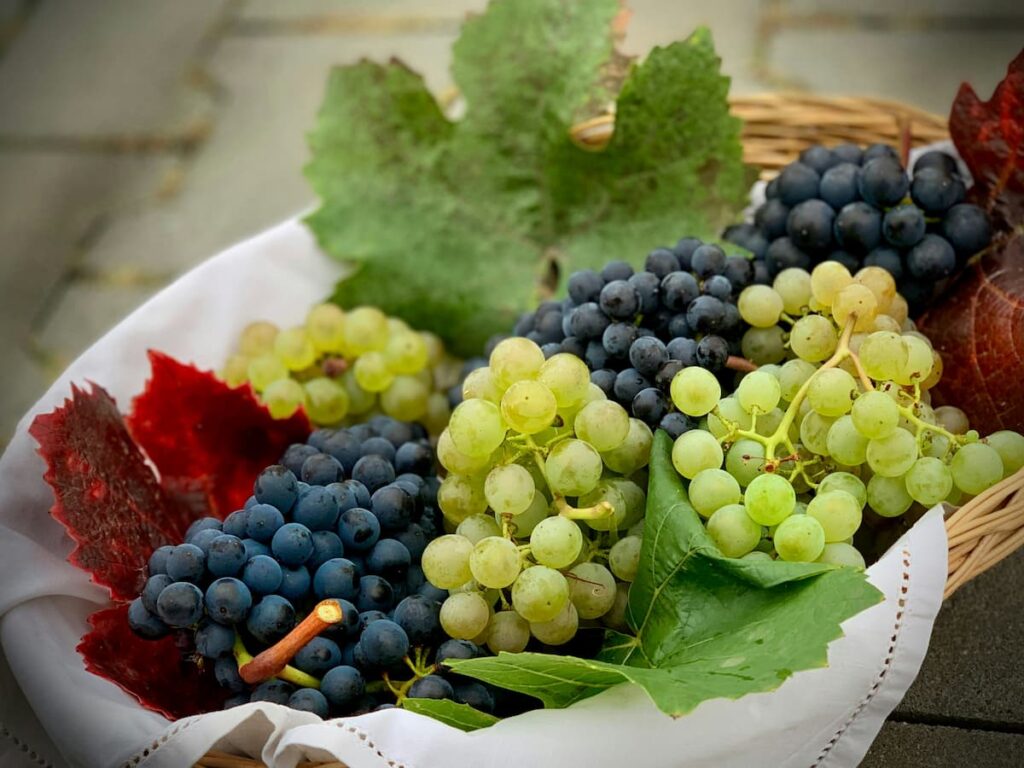 Cachos de uva verde e roxa em uma cesta 